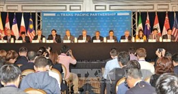 Chính phủ ra nghị quyết về việc ký TPP